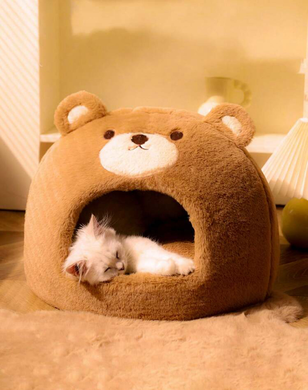 Camita gato