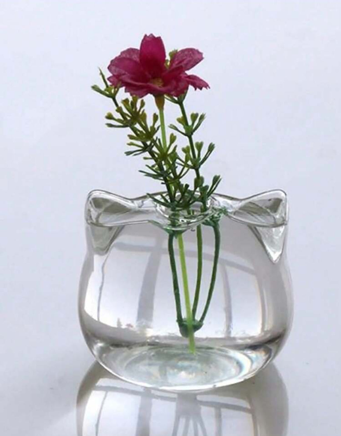 Florero gatito
