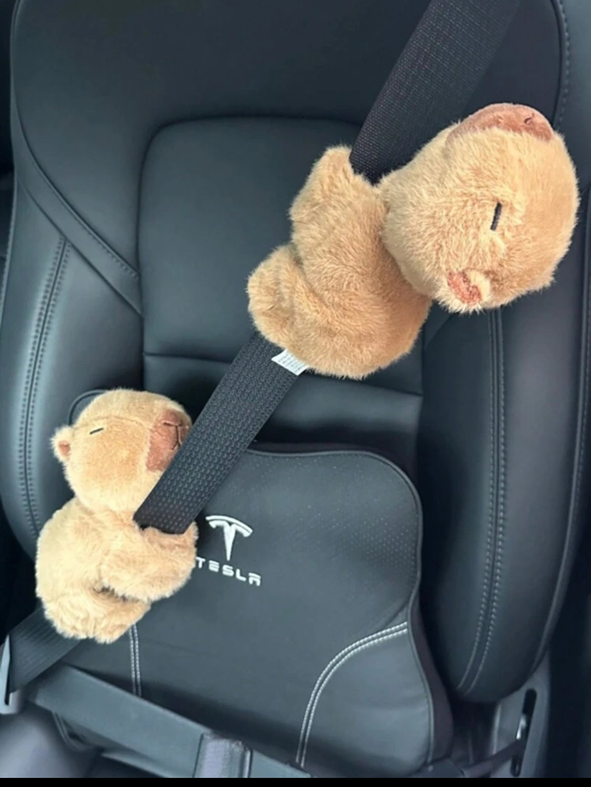 Peluche carpincho