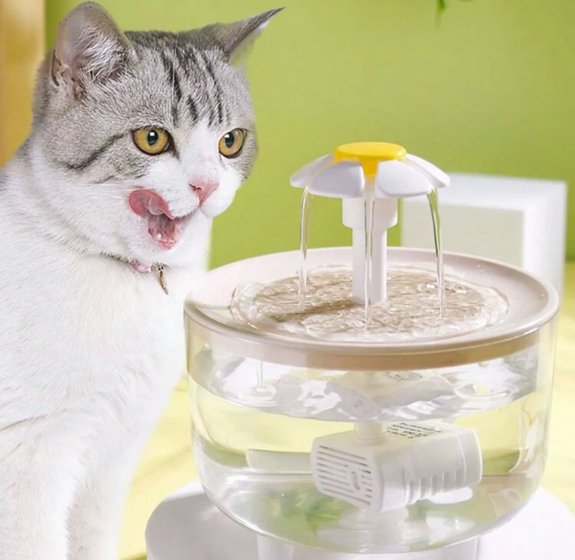 Fuente para gato