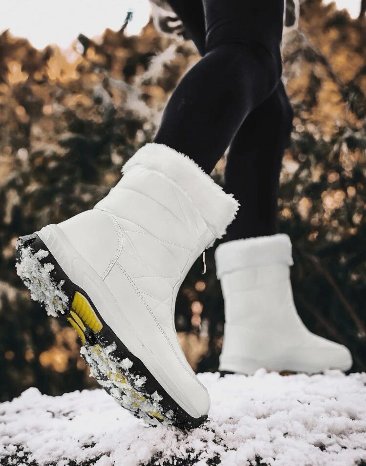 Botas termicas