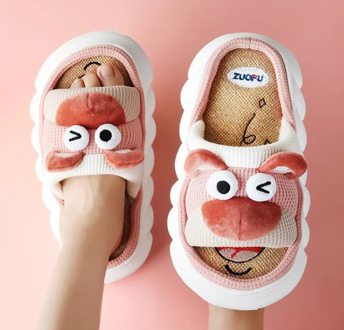 Zapatillas de casa