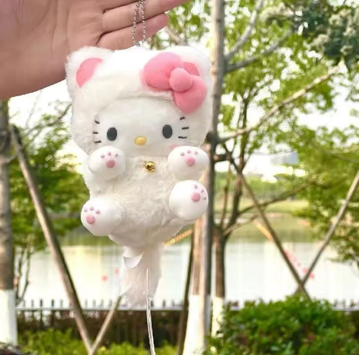 Hello kitty cat