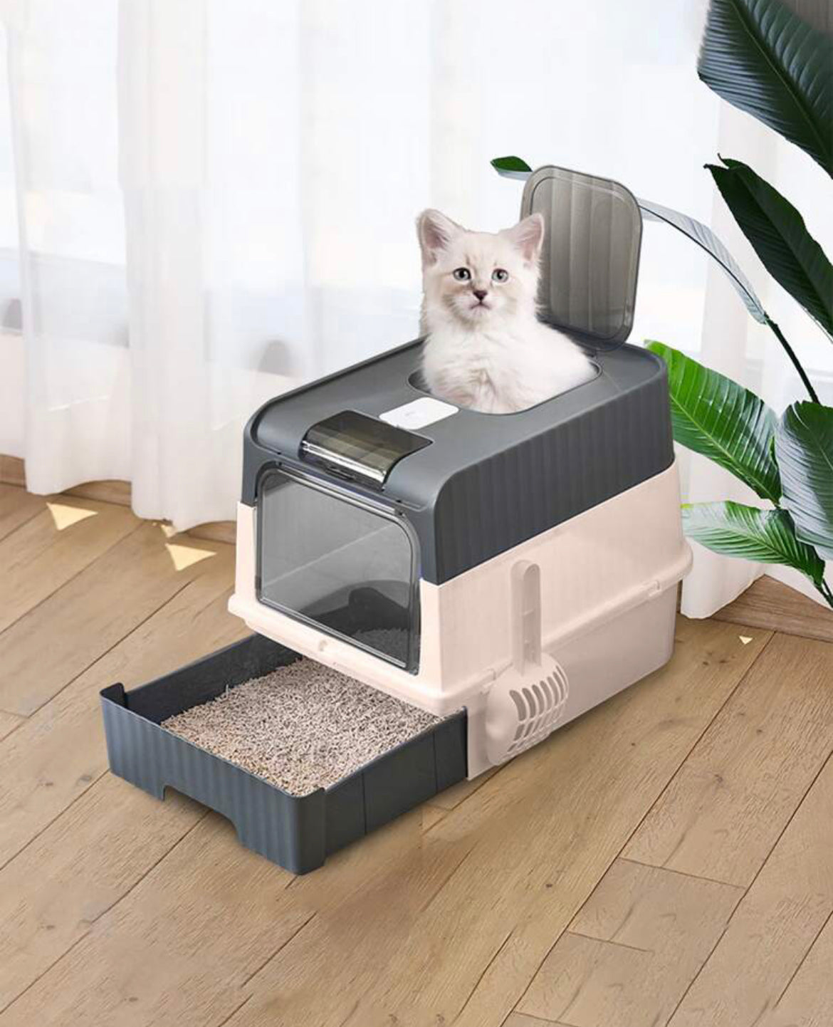 Arenero para gato