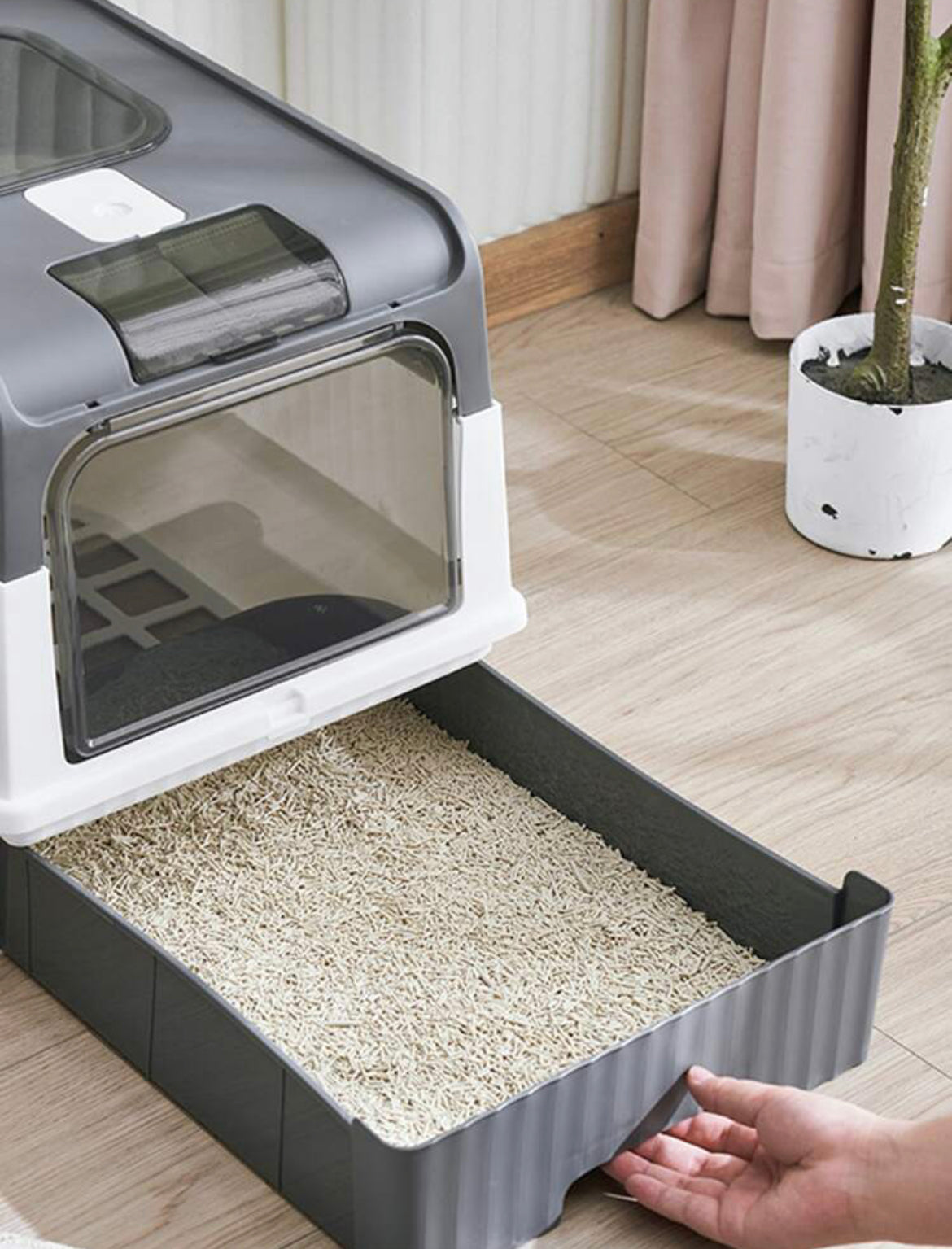 Arenero para gato