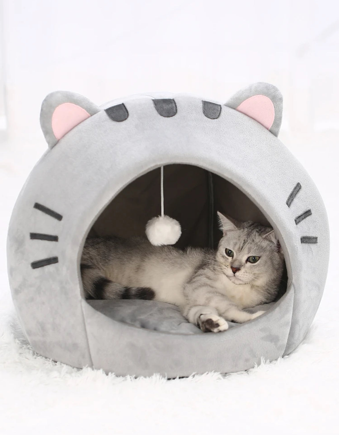 Casita gatito