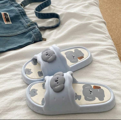 Chanclas de diseños varios