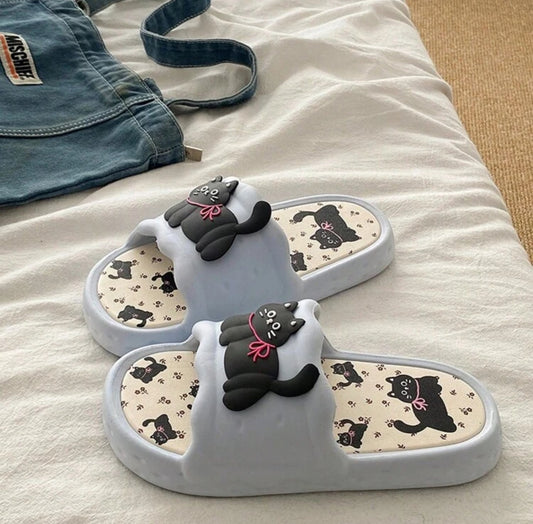 Chanclas de diseños varios
