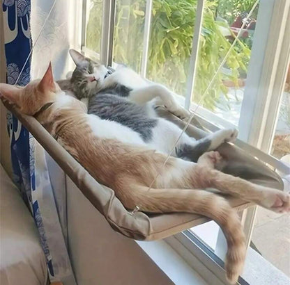 Soporte para gatos