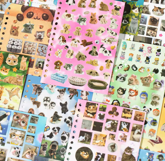 PRE VENTA✨ Librito de stickers gatitos