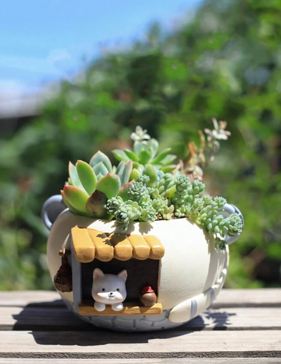 Maceta gatito