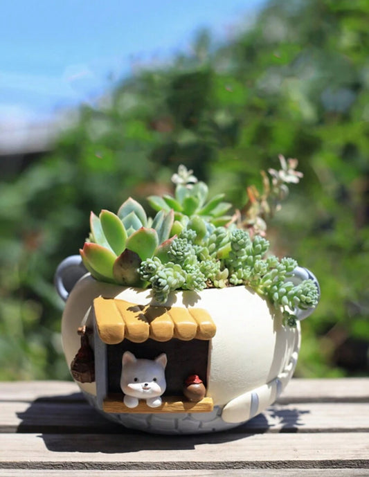 Maceta gatito