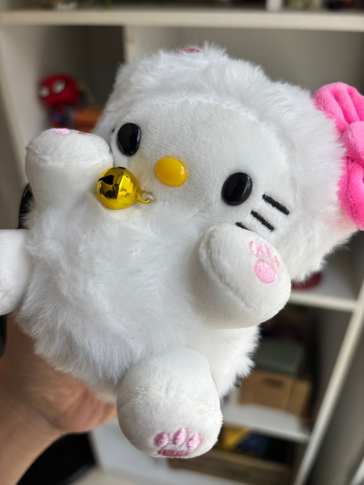 Hello kitty cat