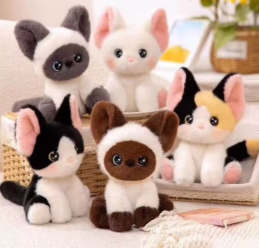 Gatitos peluche 25cms