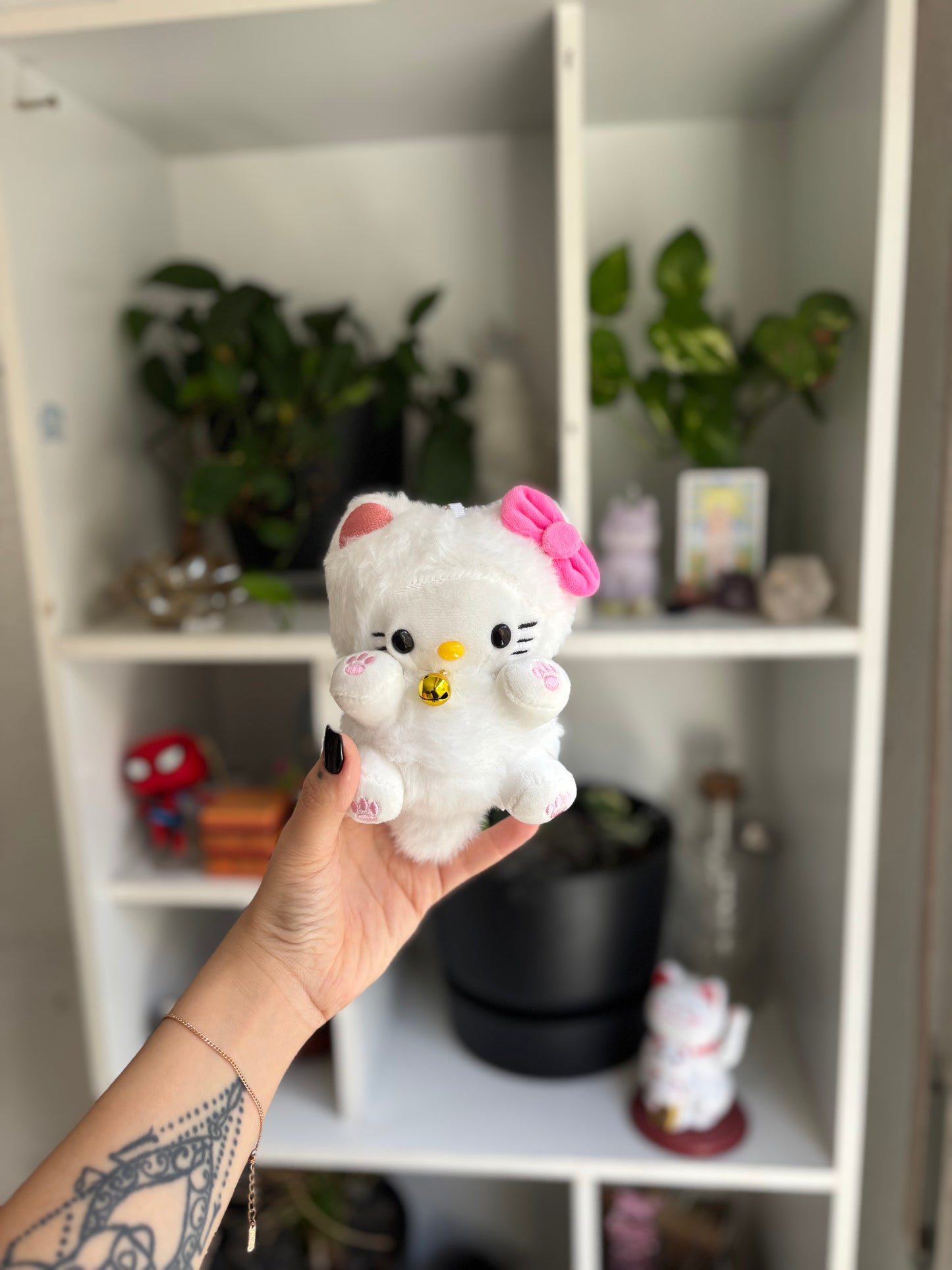Hello kitty cat